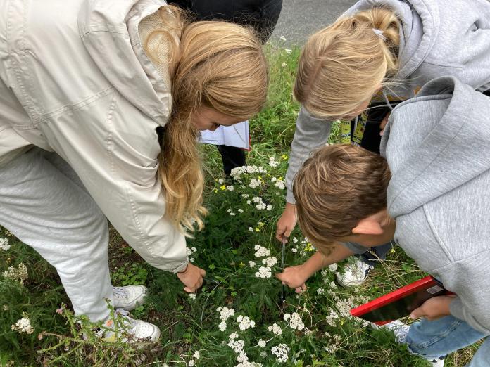 Undersøgelse af biodiversitet er en af KØNs vigtigste faglige rammer